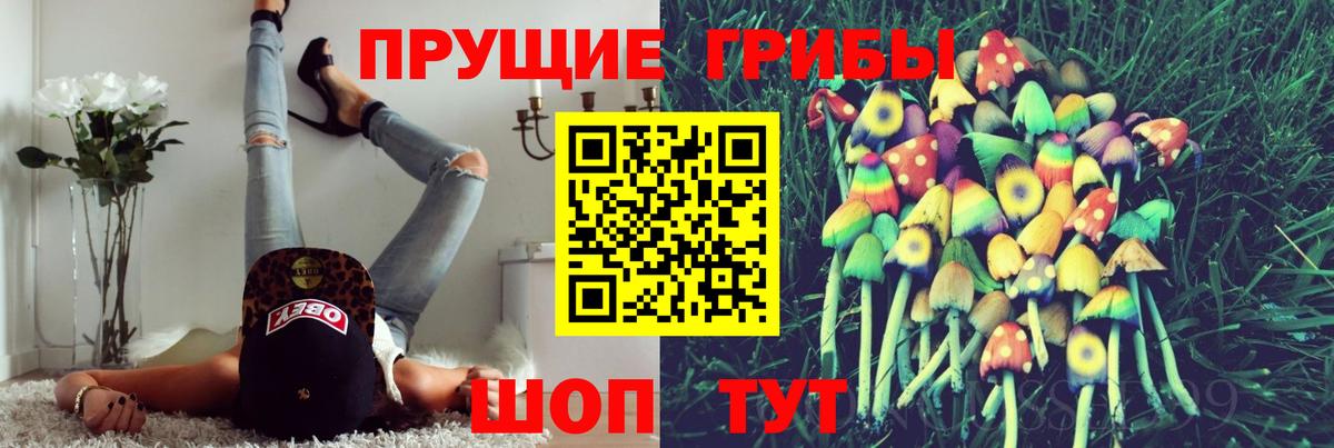 Псилоцибиновые грибы прущие грибы  Галлюциногенные грибы мухоморы  Чернушка  Вход с VPN 