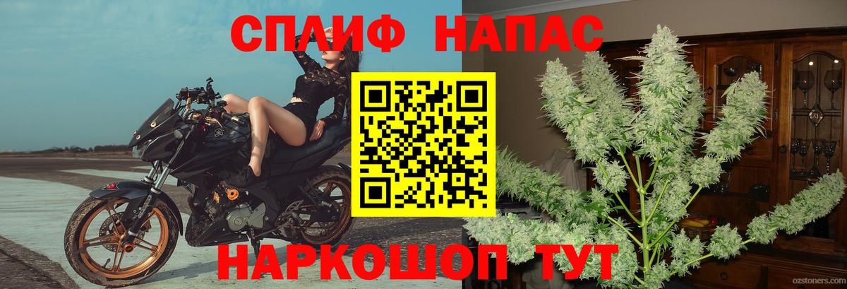 Марихуана планчик  Канабис марихуана  Чернушка  Шишки марихуана индика  Вход с VPN  Конопля Amnesia 