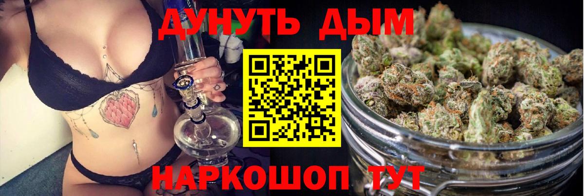 Каннабис планчик Чернушка